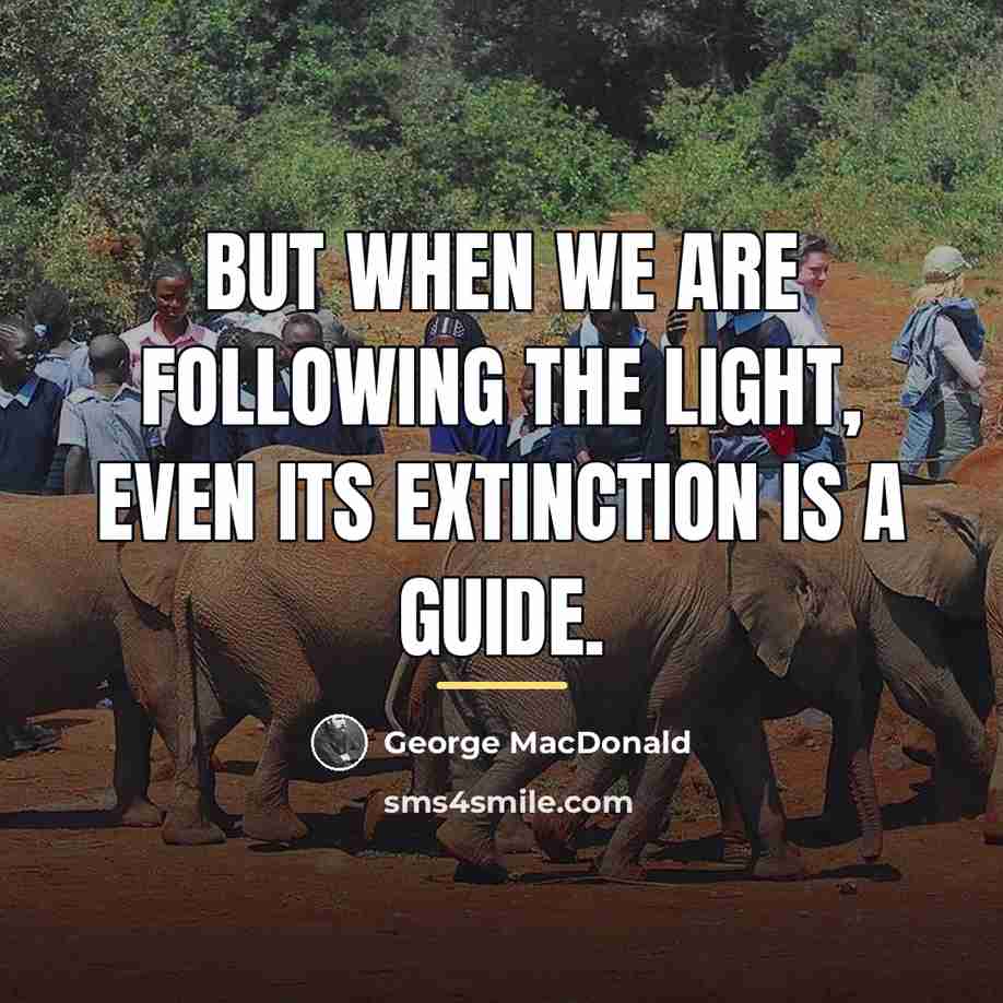 “But when we are following the light, even its extinction…” quote by George MacDonald