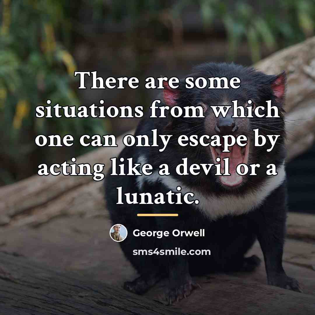 “There are some situations from which one can only escape…” quote by George Orwell