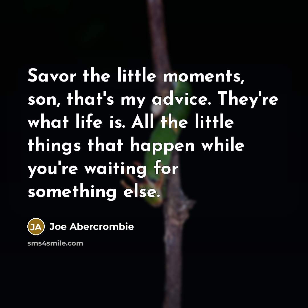“Savor the little moments, son, that's my advice. They're what…” quote by Joe Abercrombie