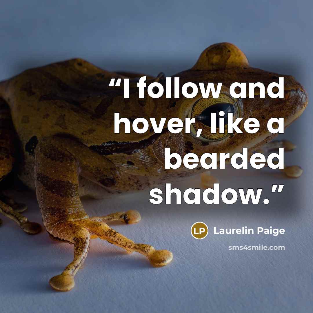“I follow and hover, like a bearded shadow.” quote by Laurelin Paige
