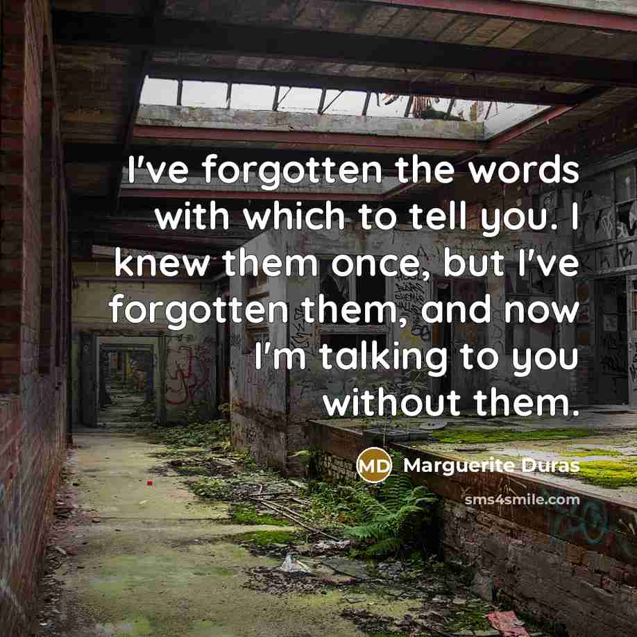 “I've forgotten the words with which to tell you. I…” quote by Marguerite Duras
