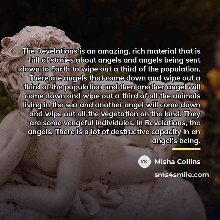 “The Revelations is an amazing, rich material that is full…” quote by Misha Collins