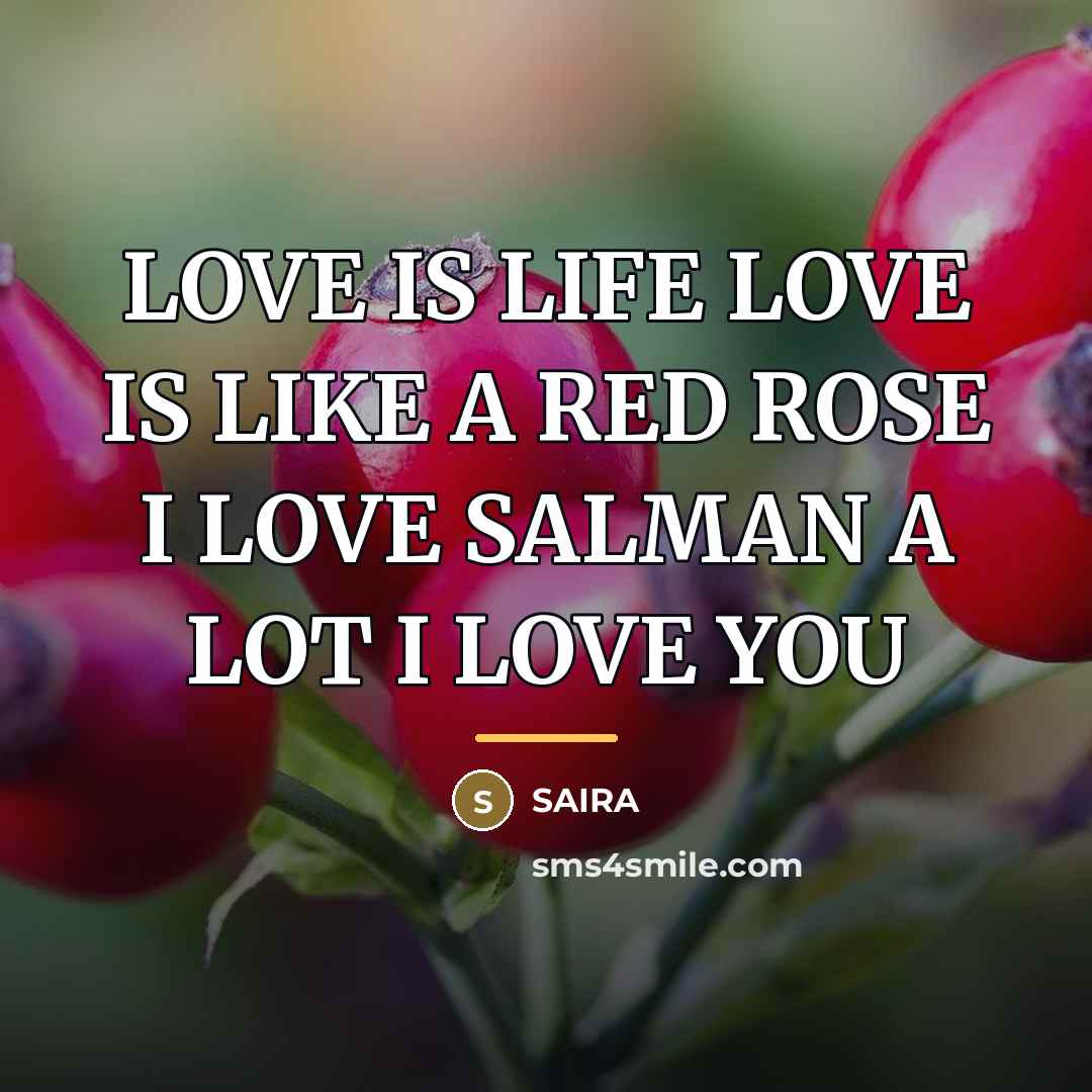 “LOVE IS LIFE LOVE IS LIKE A RED ROSE I…” quote by Saira