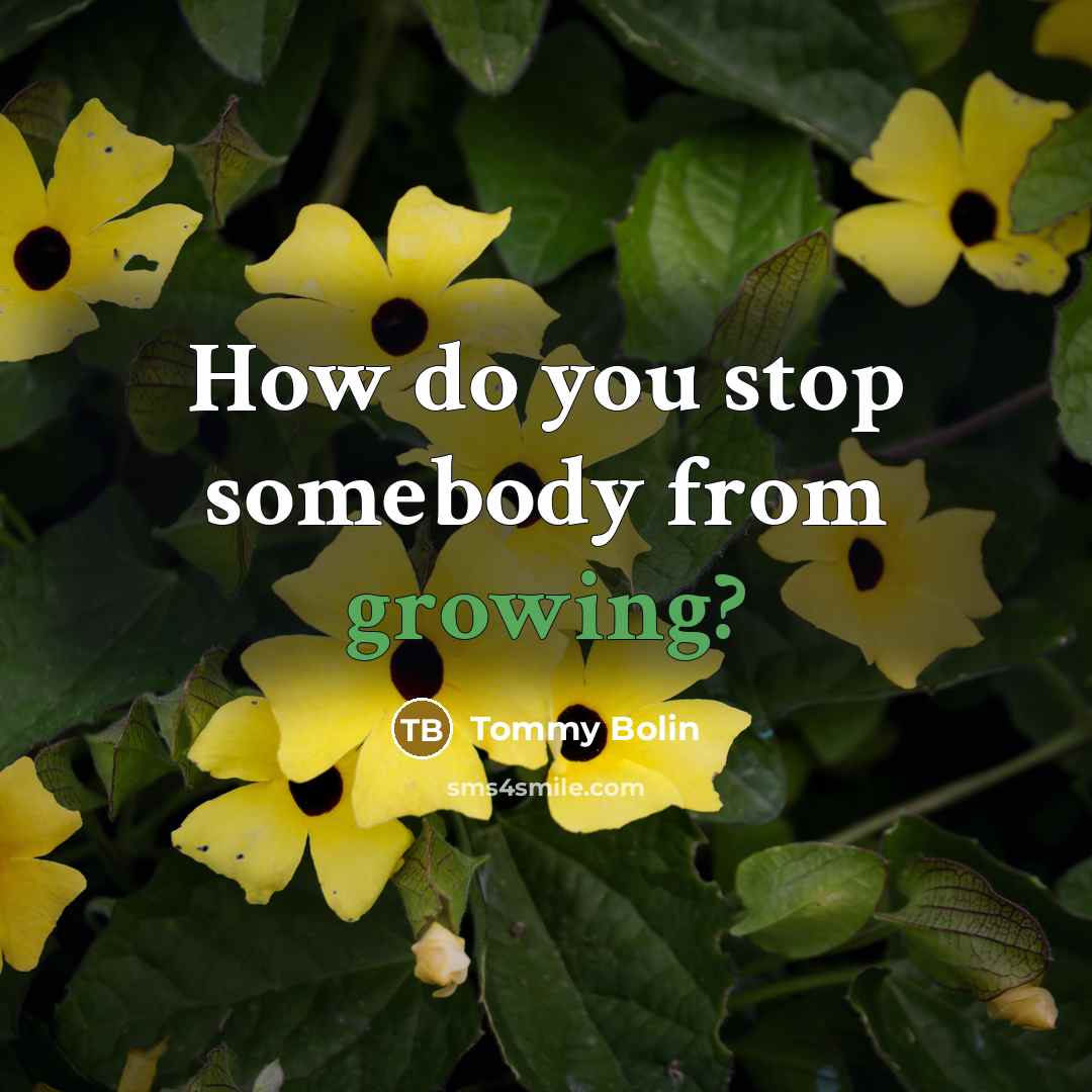 “How do you stop somebody from growing?…” quote by Tommy Bolin
