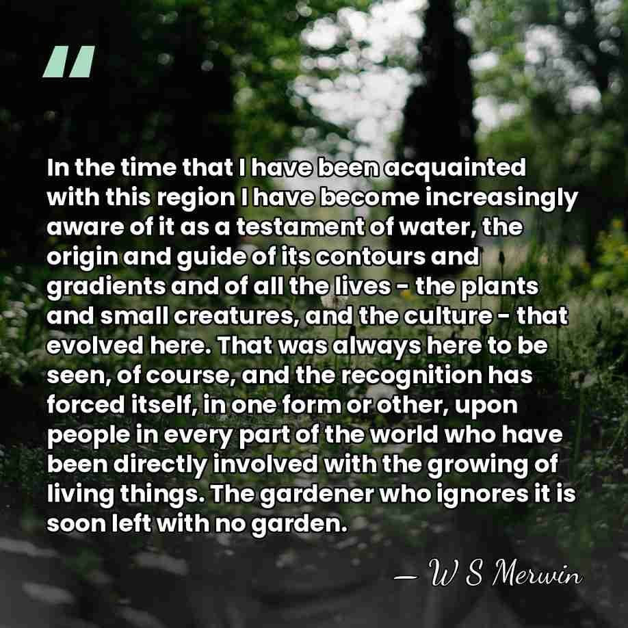 In the time that I have been acquainted with this region I&hellip; - W S Merwin
