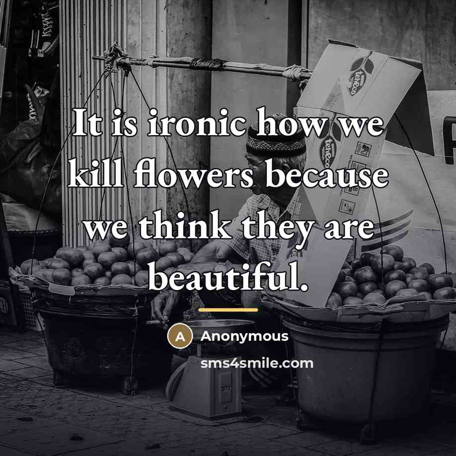 “It is ironic how we kill flowers because we think…” quote by Anonymous