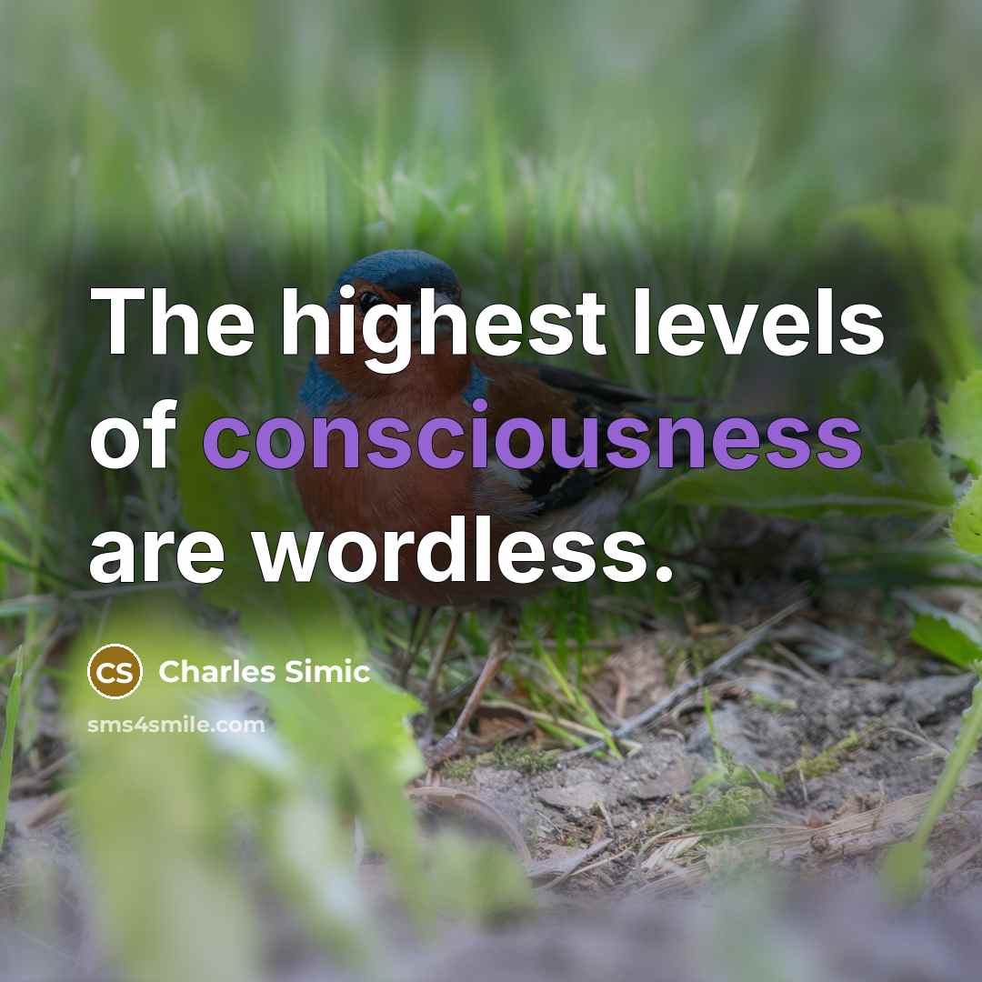 “The highest levels of consciousness are wordless.…” quote by Charles Simic