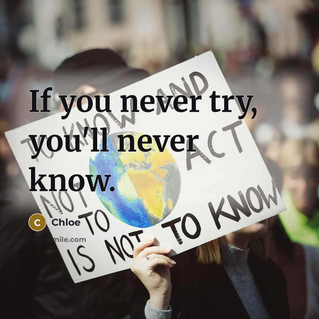 “If you never try, you'll never know.” quote by Chloe