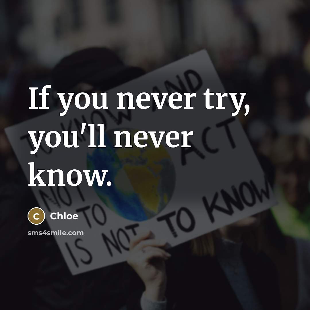 “If you never try, you'll never know.…” quote by Chloe