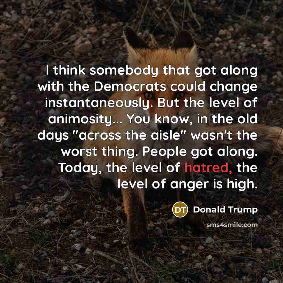 “I think somebody that got along with the Democrats could…” quote by Donald Trump