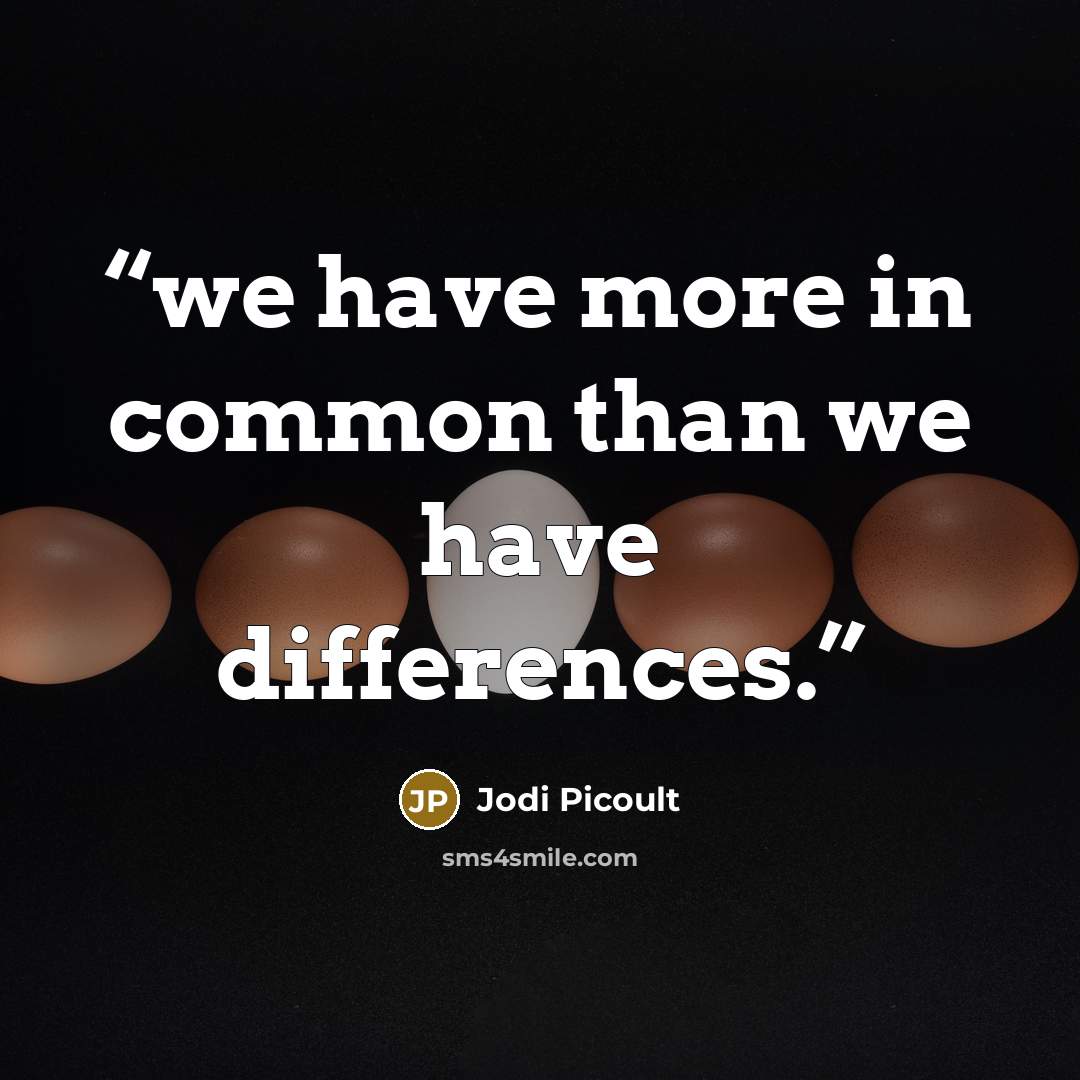 “we have more in common than we have differences.” quote by Jodi Picoult
