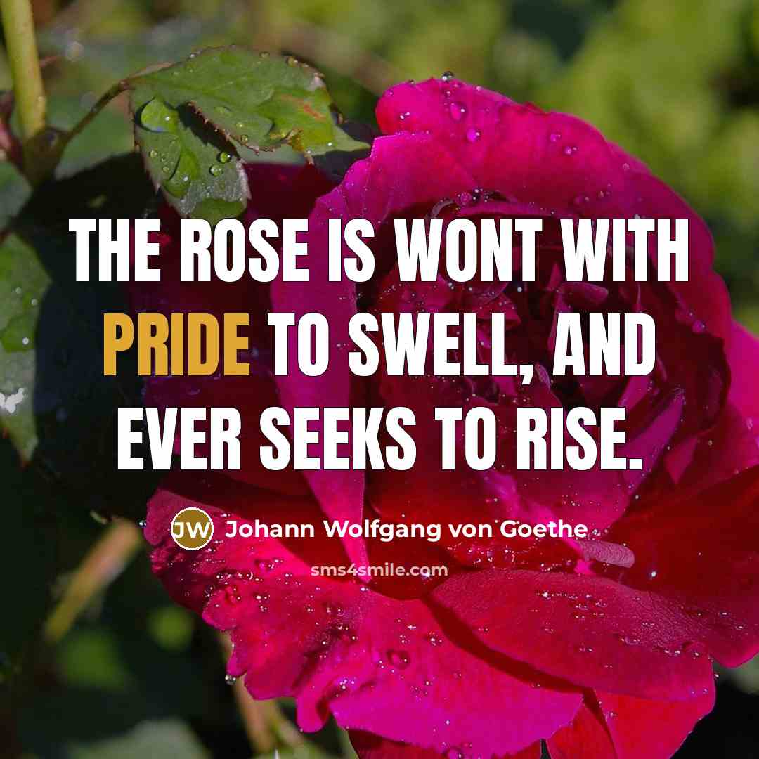 “The rose is wont with pride to swell, and ever seeks to rise.” quote by Johann Wolfgang von Goethe