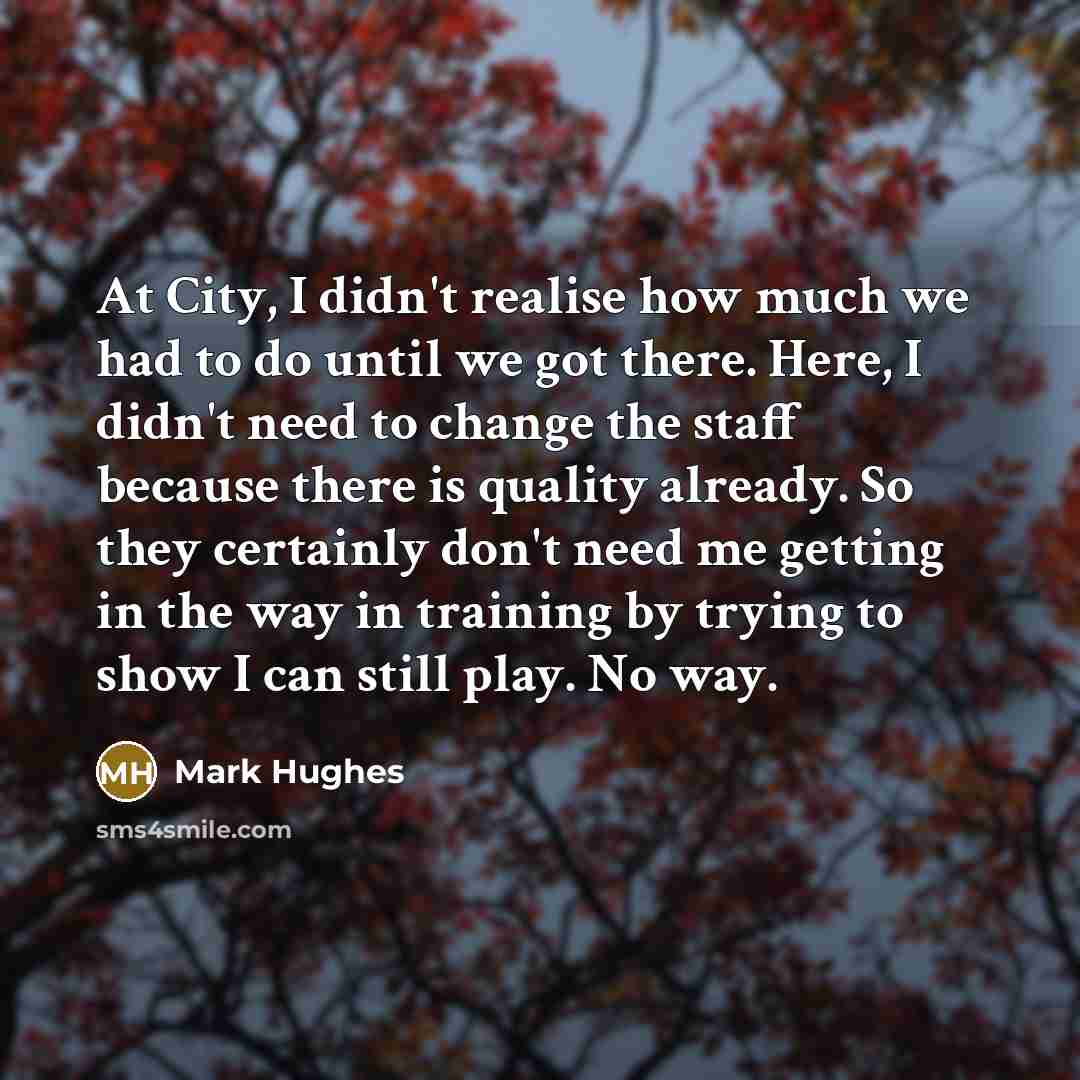 “At City, I didn't realise how much we had to…” quote by Mark Hughes