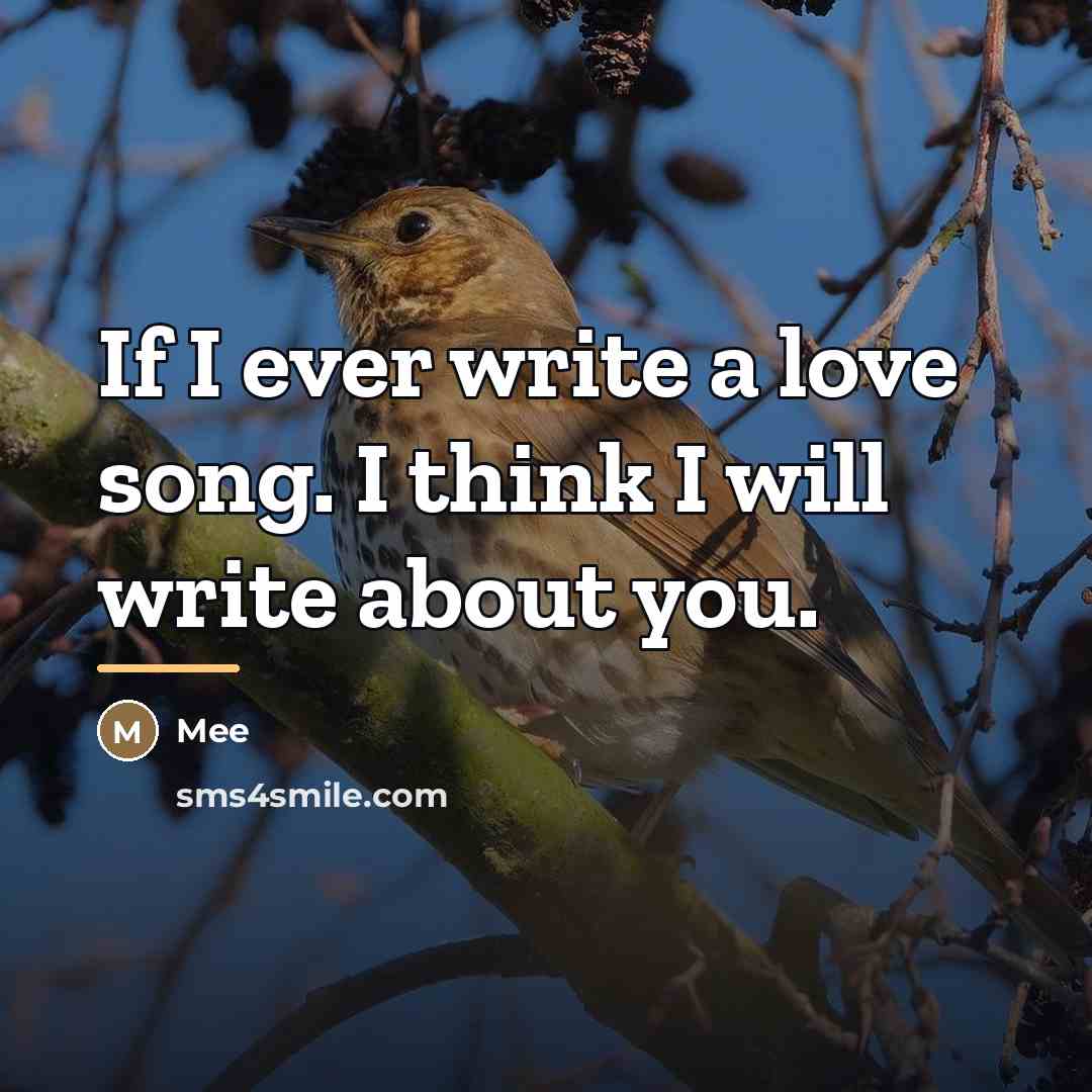 “If I ever write a love song. I think I…” quote by Mee