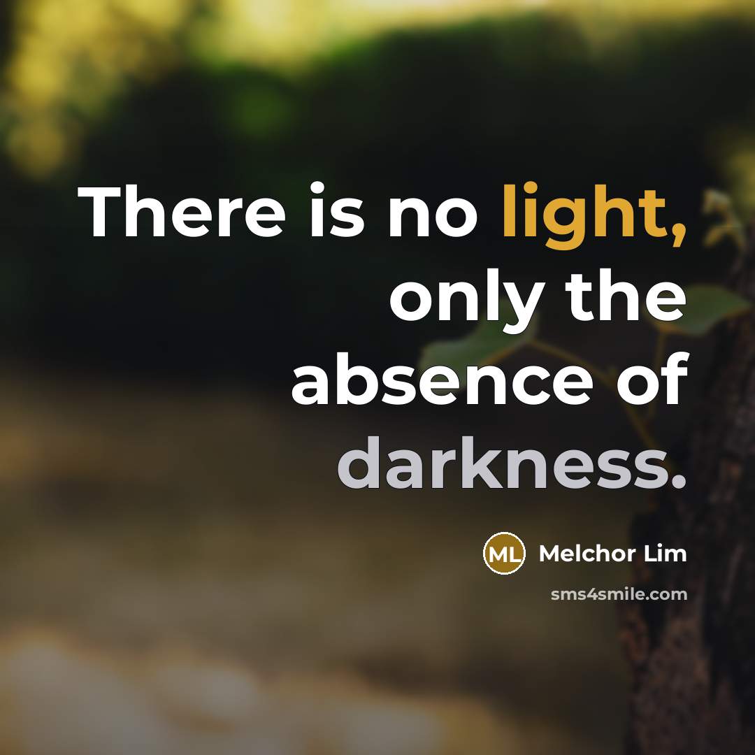 “There is no light, only the absence of darkness.” quote by Melchor Lim