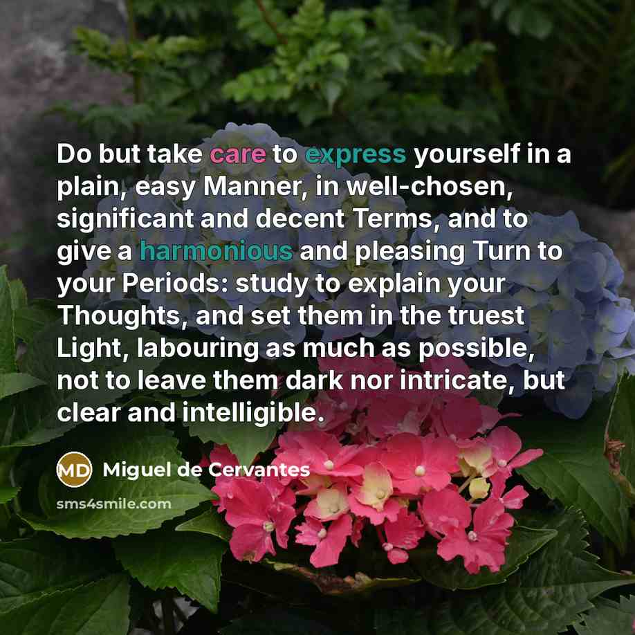 “Do but take care to express yourself in a plain,…” quote by Miguel de Cervantes