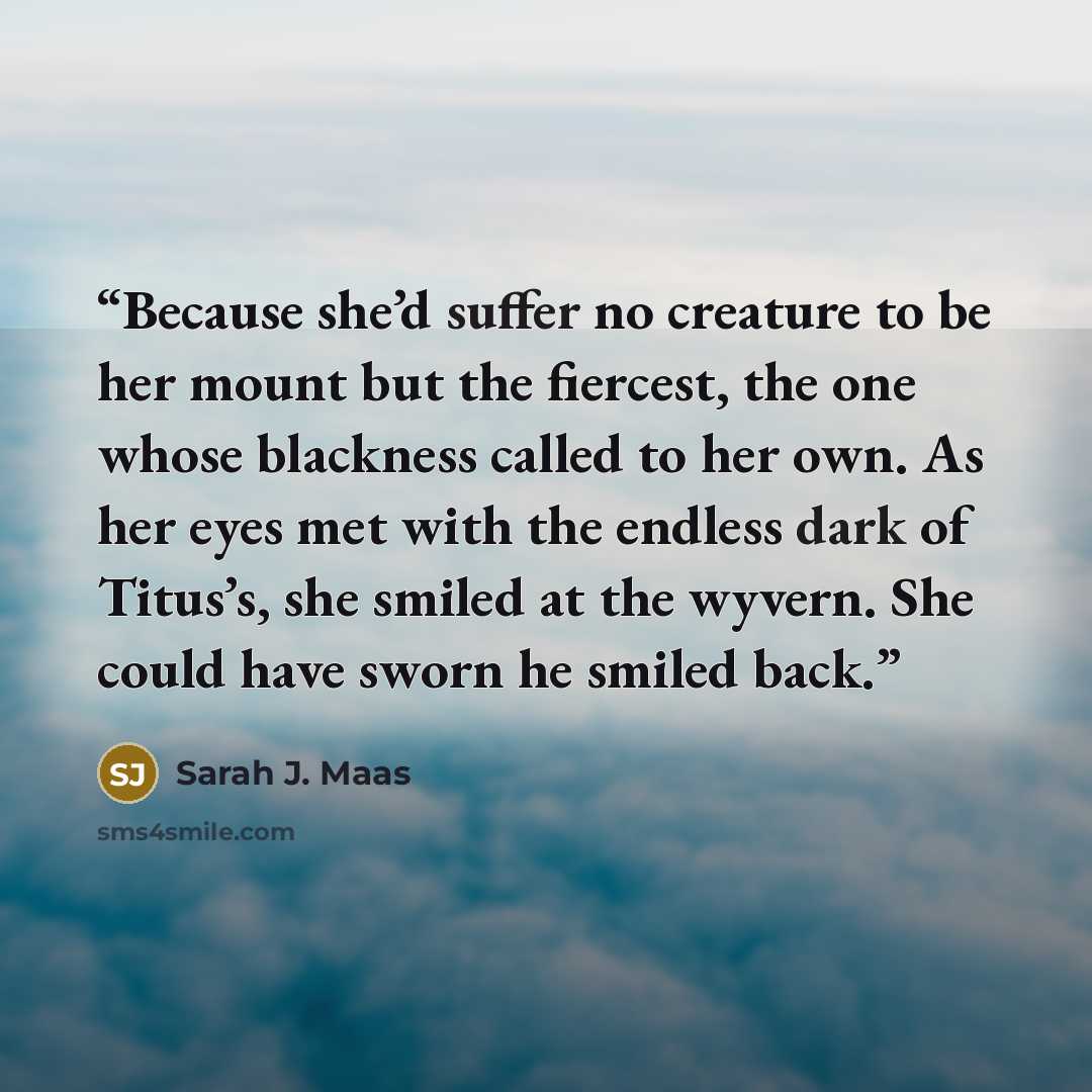 “Because she’d suffer no creature to be her mount but the fiercest, the one whose blackness called to her own. As her eyes met with the endless dark of Titus’s, she smiled at the wyvern. She could have sworn he smiled back.” quote by Sarah J. Maas