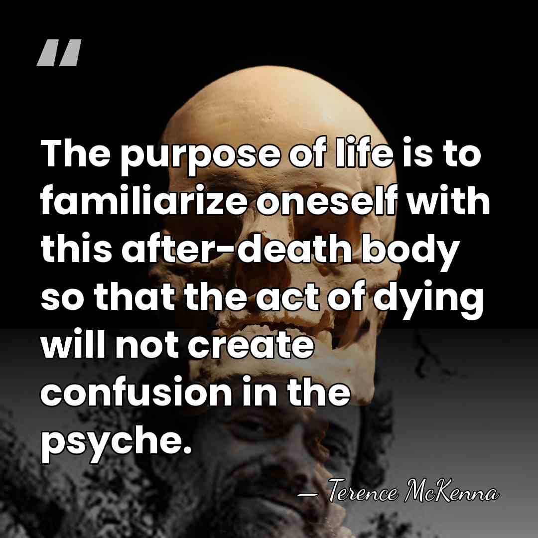 The purpose of life is to familiarize oneself with this after-death body&hellip; - Terence McKenna