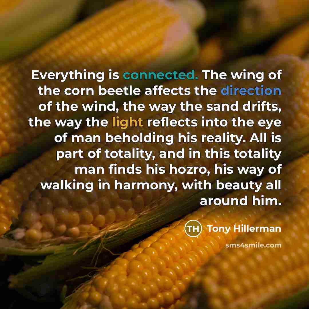 “Everything is connected. The wing of the corn beetle affects the direction of the wind, the way the sand drifts, the way the light reflects into the eye of man beholding his reality. All is part of totality, and in this totality man finds his hozro, his way of walking in harmony, with beauty all…” quote by Tony Hillerman