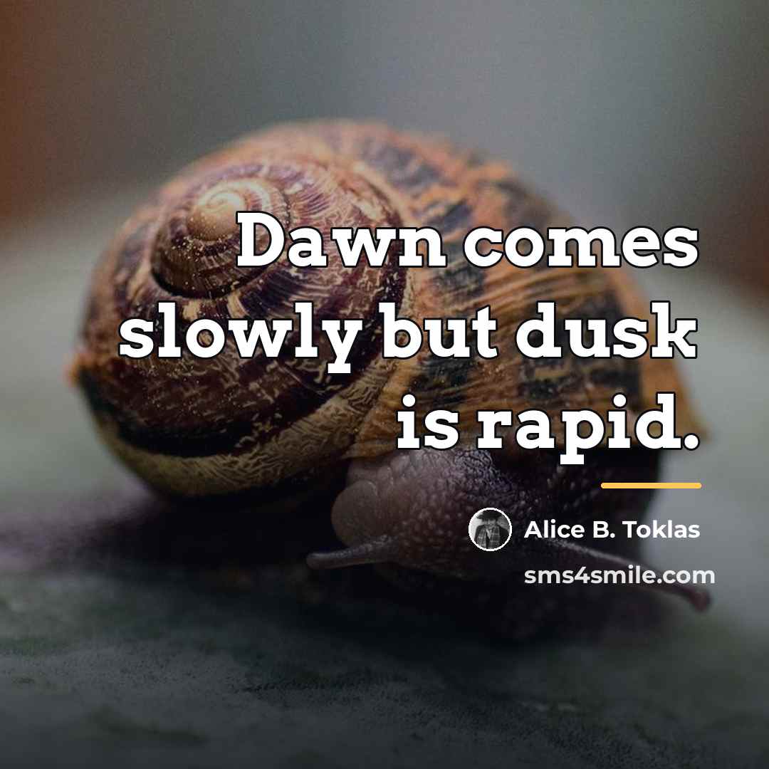 “Dawn comes slowly but dusk is rapid.…” quote by Alice B. Toklas