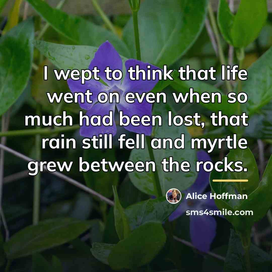 “I wept to think that life went on even when…” quote by Alice Hoffman