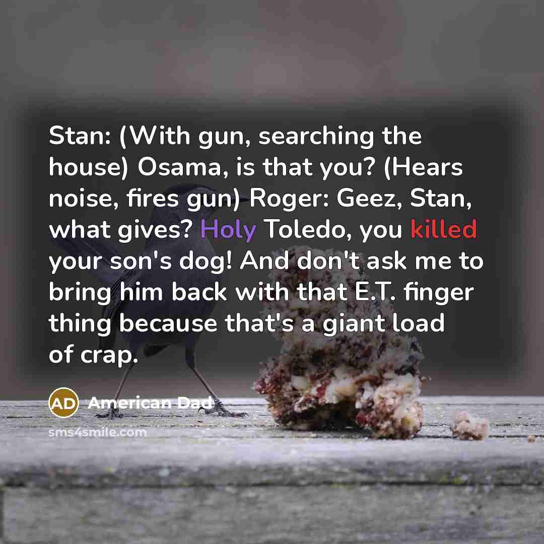 “Stan: (With gun, searching the house) Osama, is that you?…” quote by American Dad