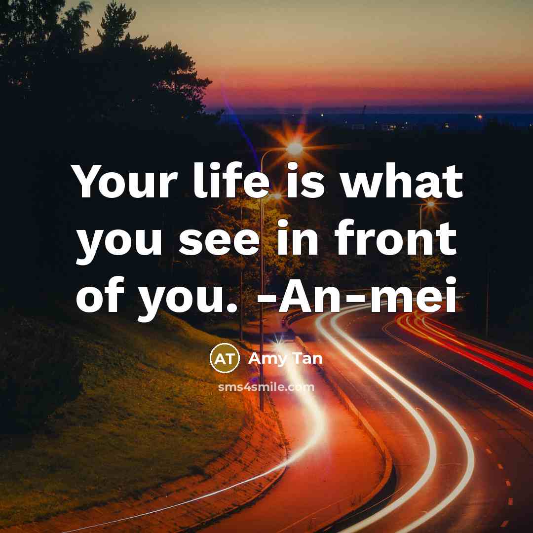 “Your life is what you see in front of you.…” quote by Amy Tan
