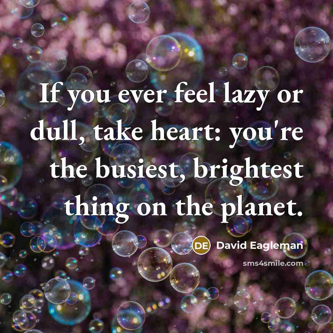 “If you ever feel lazy or dull, take heart: you're…” quote by David Eagleman