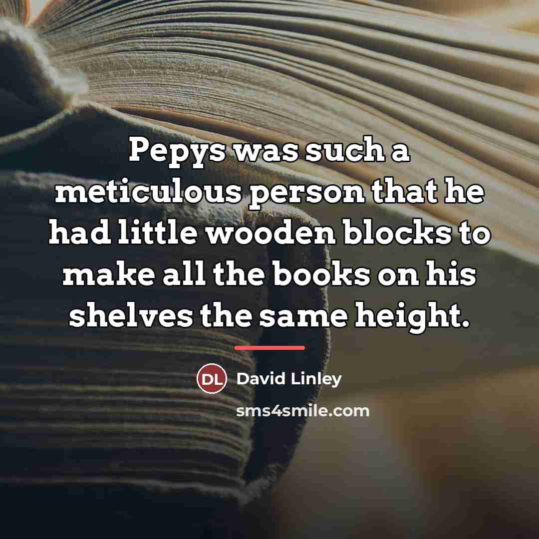 “Pepys was such a meticulous person that he had little…” quote by David Linley
