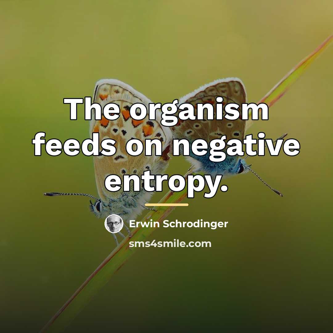 “The organism feeds on negative entropy.…” quote by Erwin Schrodinger