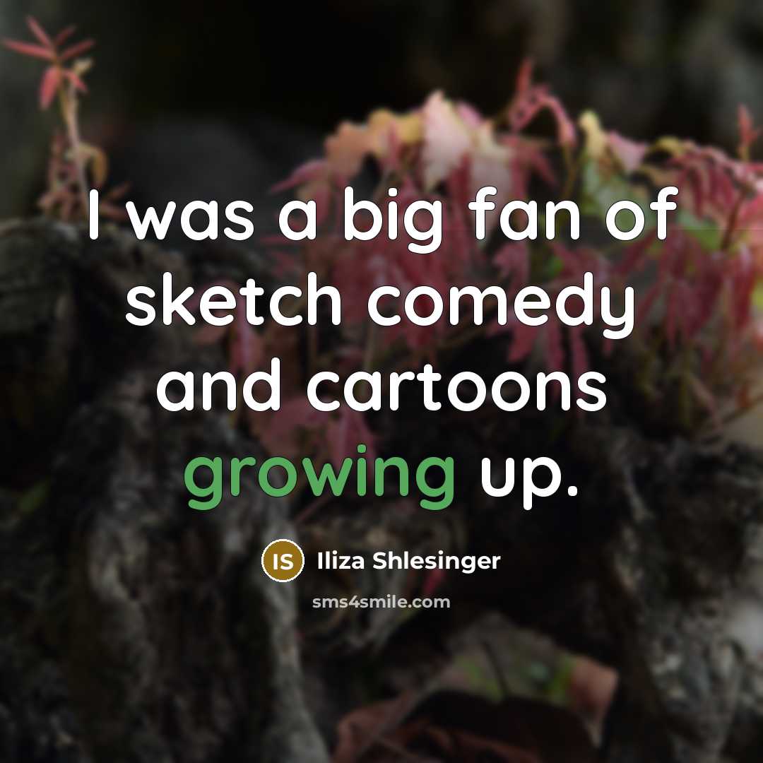 “I was a big fan of sketch comedy and cartoons…” quote by Iliza Shlesinger