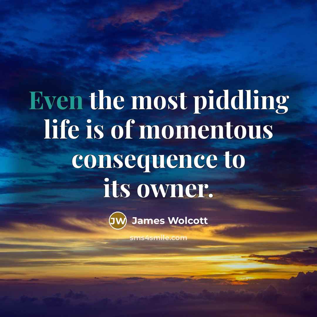 “Even the most piddling life is of momentous consequence to…” quote by James Wolcott