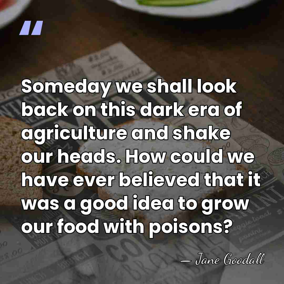 Someday we shall look back on this dark era of agriculture and&hellip; - Jane Goodall