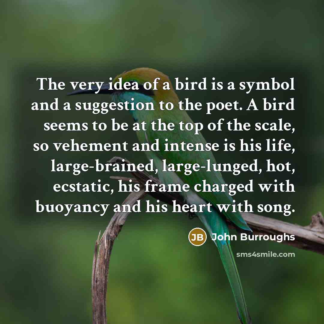“The very idea of a bird is a symbol and…” quote by John Burroughs
