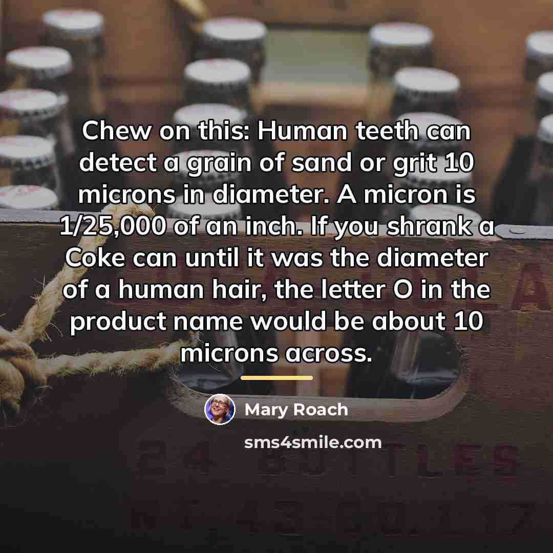 “Chew on this: Human teeth can detect a grain of…” quote by Mary Roach