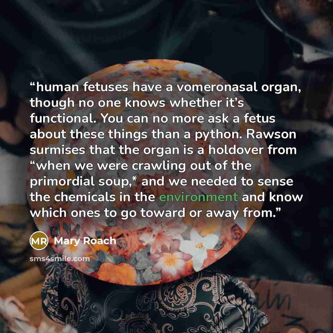 “human fetuses have a vomeronasal organ, though no one knows whether it’s functional. You can no more ask a fetus about these things than a python. Rawson surmises that the organ is a holdover from “when we were crawling out of the primordial soup,* and we needed to sense the chemicals in the…” quote by Mary Roach