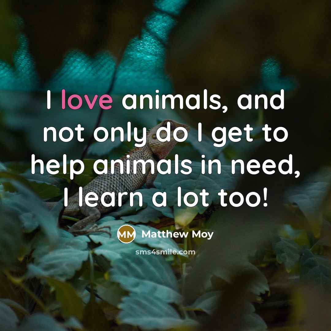 “I love animals, and not only do I get to…” quote by Matthew Moy