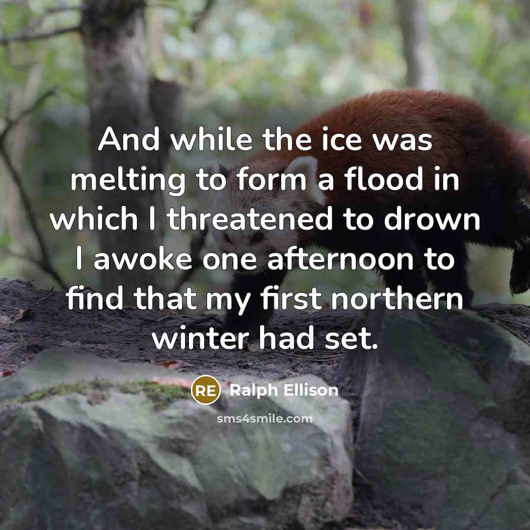 “And while the ice was melting to form a flood…” quote by Ralph Ellison