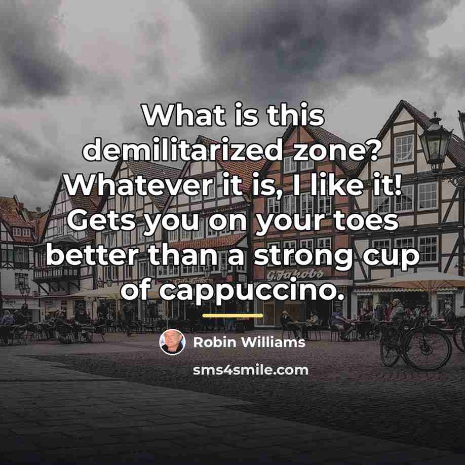 “What is this demilitarized zone? Whatever it is, I like…” quote by Robin Williams