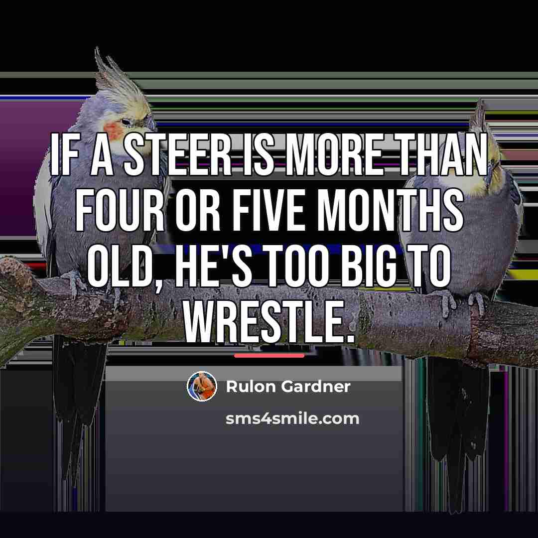 “If a steer is more than four or five months…” quote by Rulon Gardner