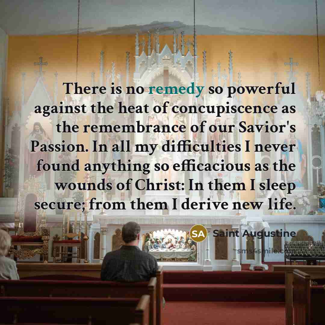 “There is no remedy so powerful against the heat of…” quote by Saint Augustine
