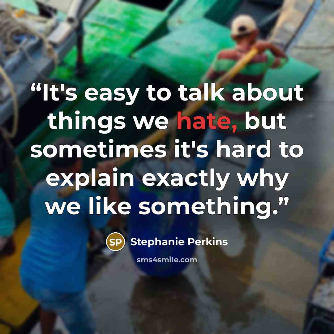 “It's easy to talk about things we hate, but sometimes it's hard to explain exactly why we like something.” quote by Stephanie Perkins