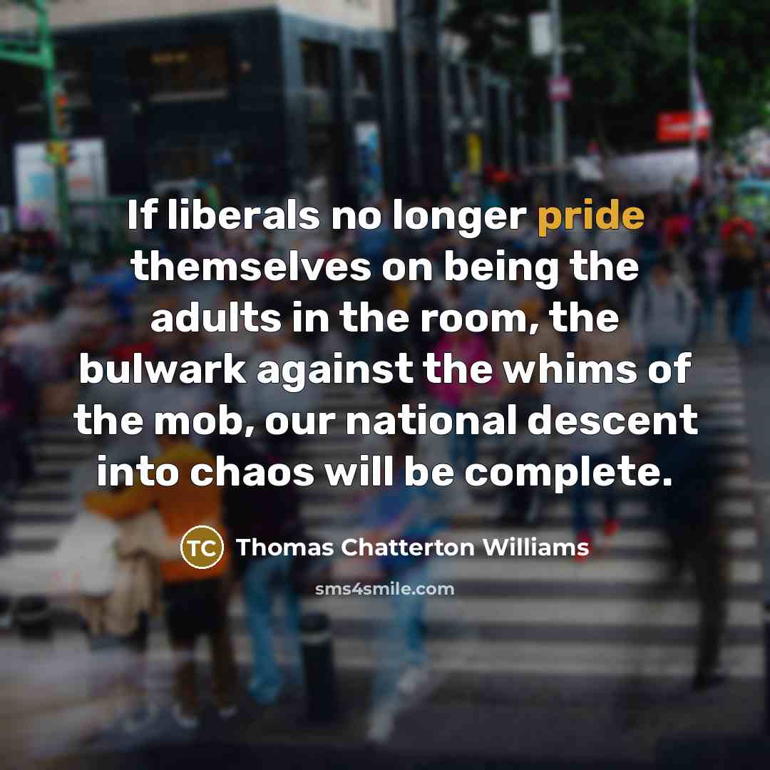“If liberals no longer pride themselves on being the adults…” quote by Thomas Chatterton Williams