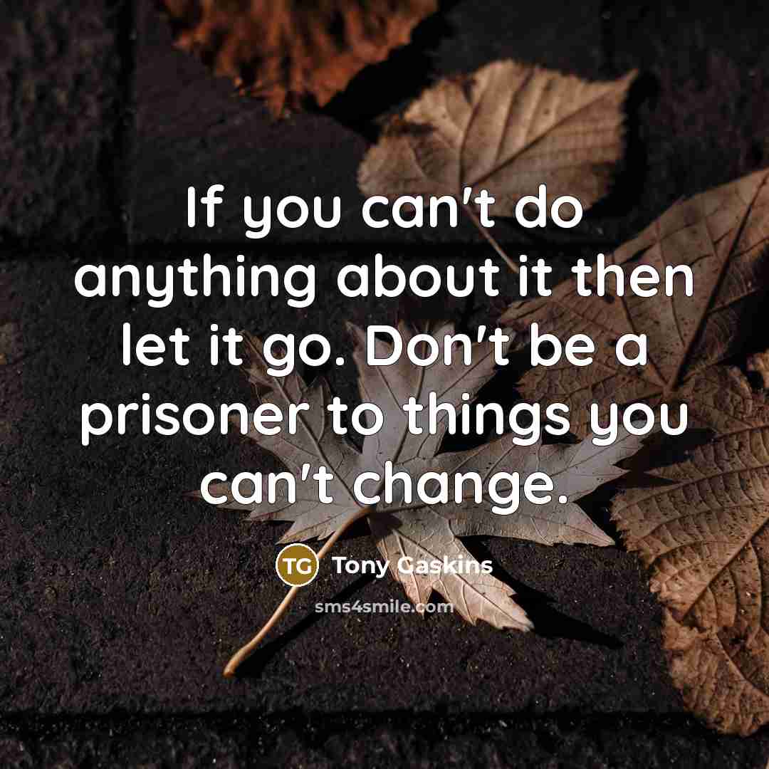 “If you can't do anything about it then let it…” quote by Tony Gaskins