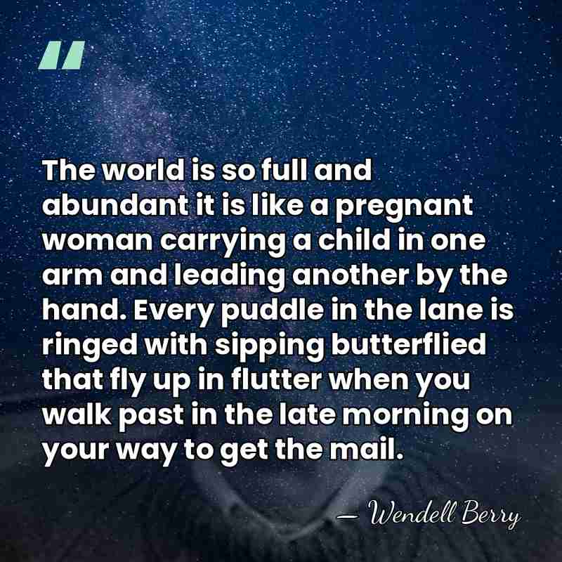 The world is so full and abundant it is like a pregnant&hellip; - Wendell Berry