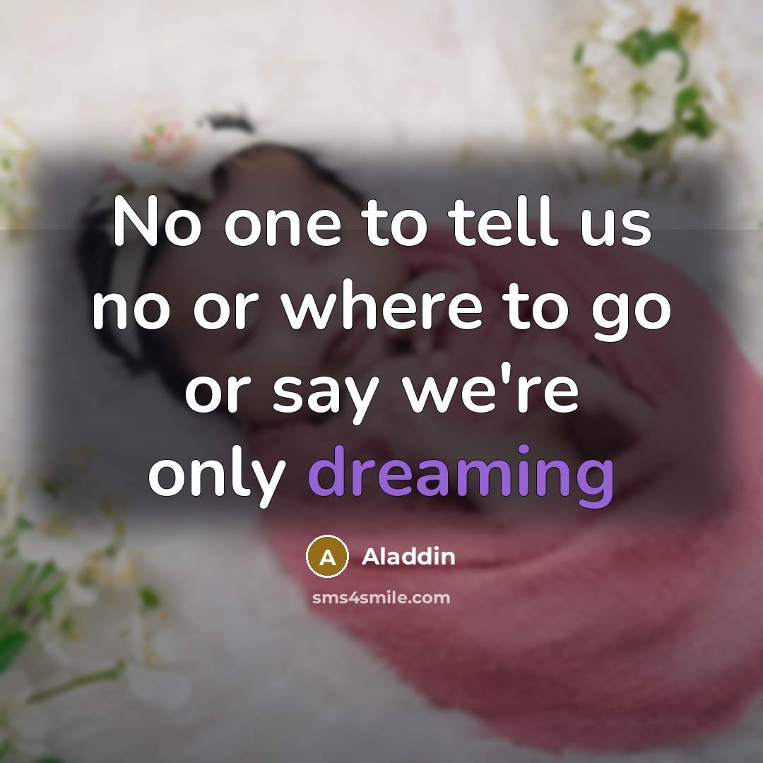 “No one to tell us no or where to go…” quote by Aladdin