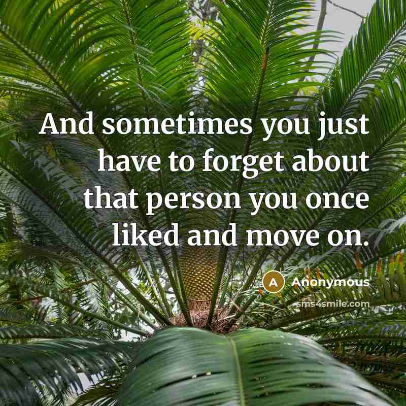 “And sometimes you just have to forget about that person you once liked and move on.” quote by Anonymous