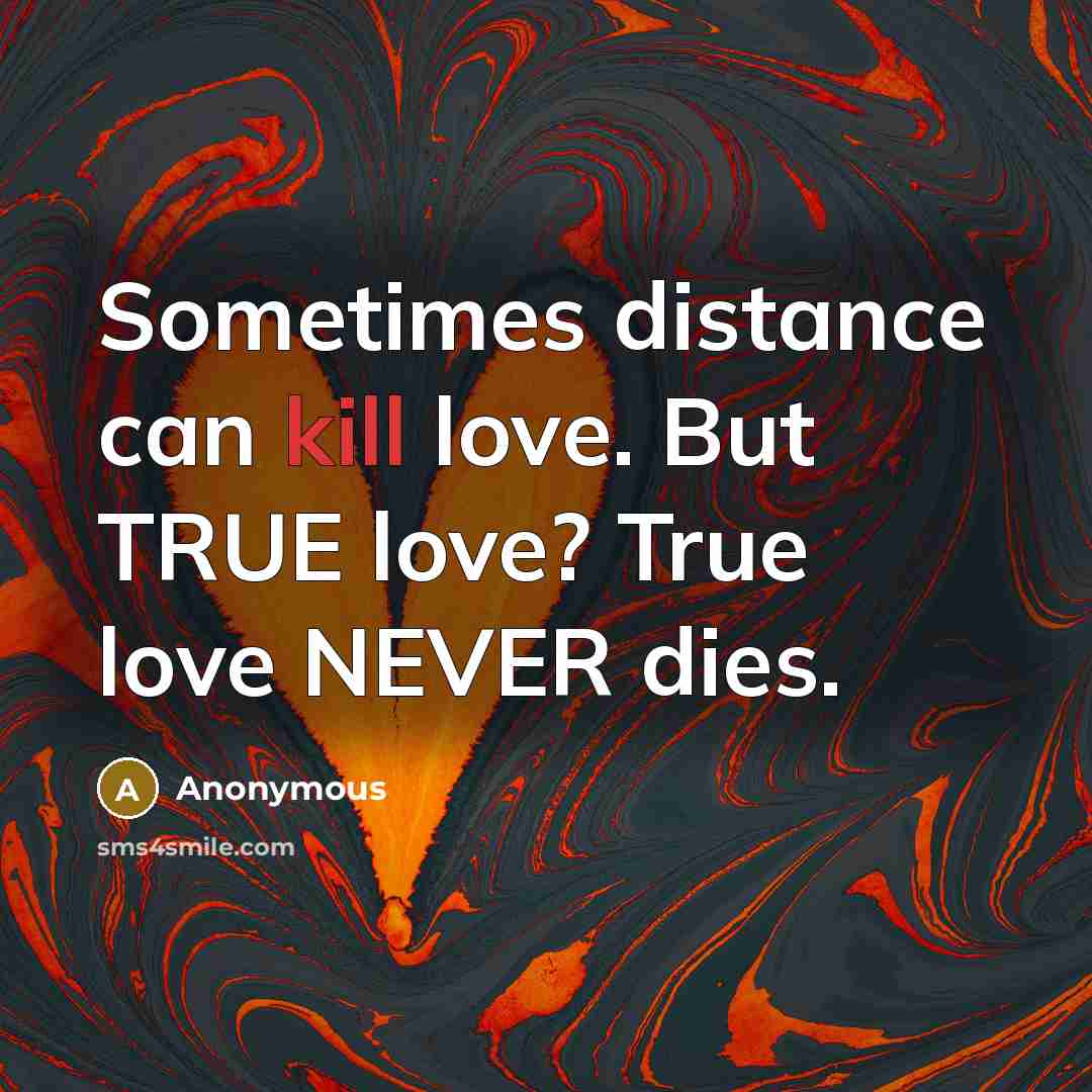 “Sometimes distance can kill love. But TRUE love? True love…” quote by Anonymous