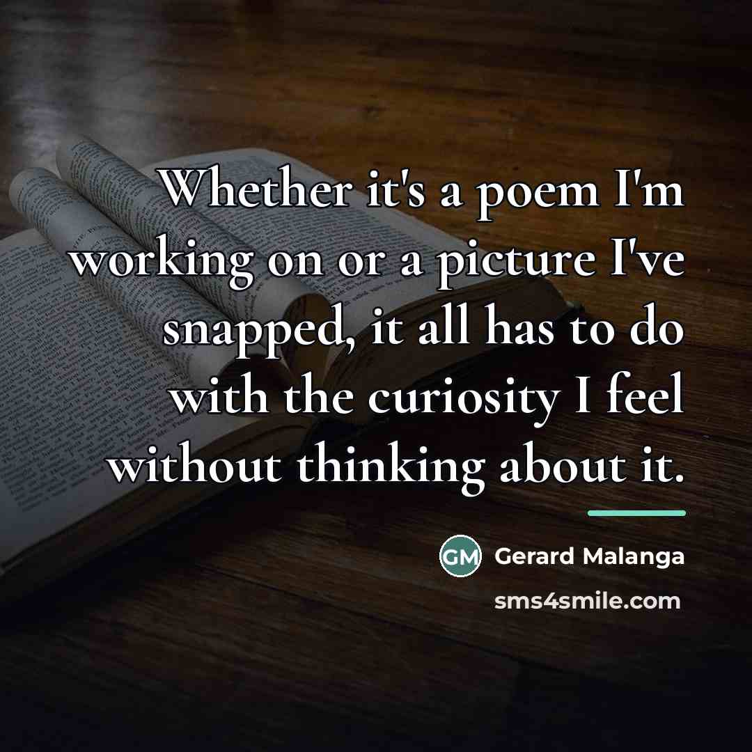 “Whether it's a poem I'm working on or a picture…” quote by Gerard Malanga