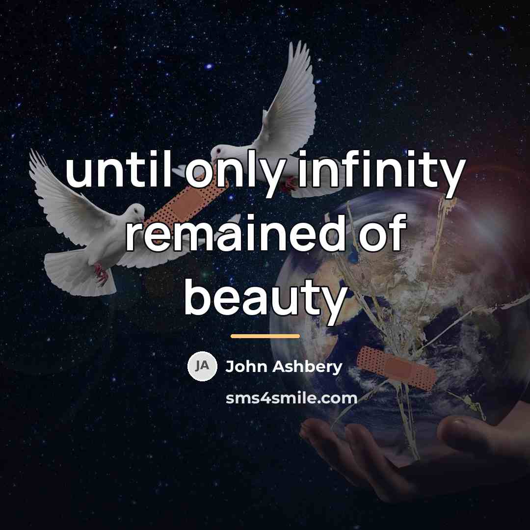 “until only infinity remained of beauty…” quote by John Ashbery